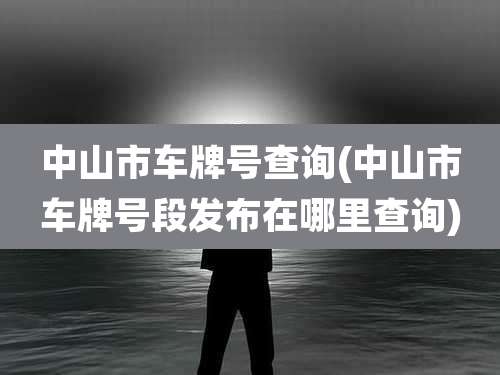 中山市车牌号查询(中山市车牌号段发布在哪里查询)