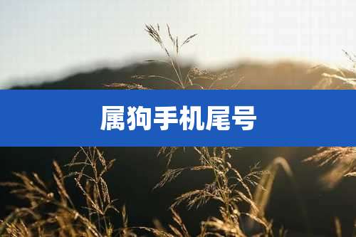 属狗手机尾号