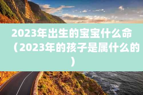 2023年出生的宝宝什么命（2023年的孩子是属什么的）
