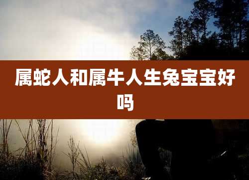 属蛇人和属牛人生兔宝宝好吗