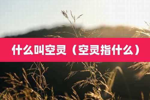 什么叫空灵（空灵指什么）