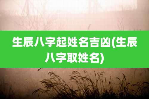 生辰八字起姓名吉凶(生辰八字取姓名)
