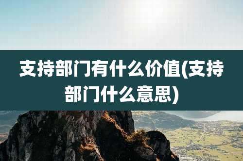 支持部门有什么价值(支持部门什么意思)