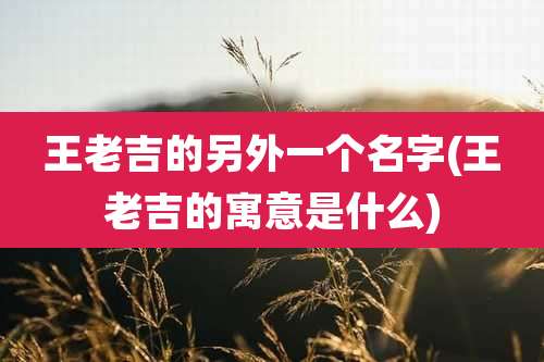 王老吉的另外一个名字(王老吉的寓意是什么)