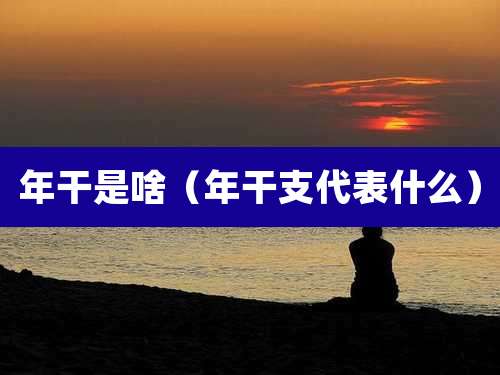 年干是啥（年干支代表什么）