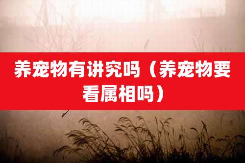 养宠物有讲究吗（养宠物要看属相吗）