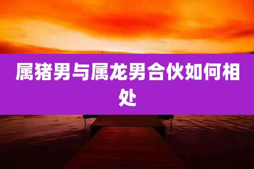 属猪男与属龙男合伙如何相处