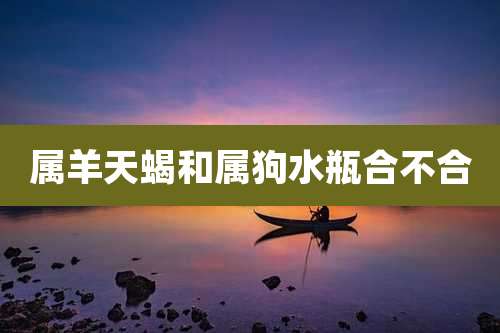 属羊天蝎和属狗水瓶合不合