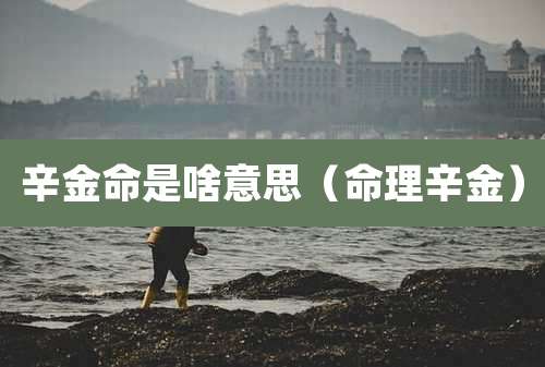 辛金命是啥意思（命理辛金）