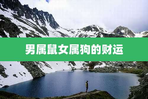 男属鼠女属狗的财运