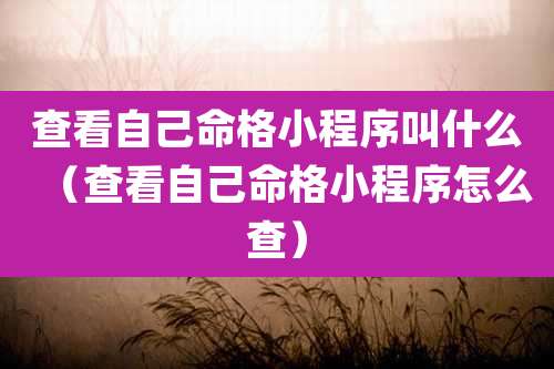 查看自己命格小程序叫什么（查看自己命格小程序怎么查）