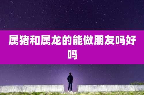 属猪和属龙的能做朋友吗好吗