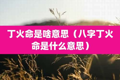 丁火命是啥意思（八字丁火命是什么意思）
