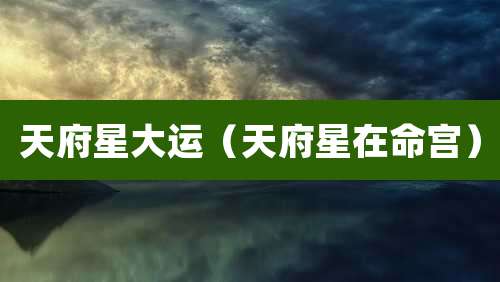 天府星大运（天府星在命宫）