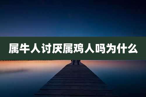 属牛人讨厌属鸡人吗为什么