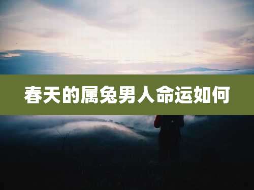 春天的属兔男人命运如何