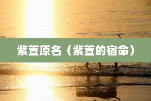 紫萱原名（紫萱的宿命）