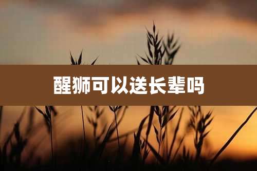 醒狮可以送长辈吗