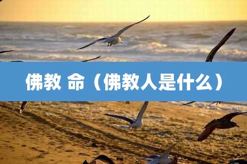 佛教 命（佛教人是什么）