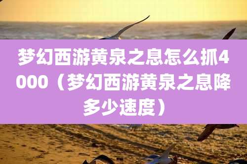 梦幻西游黄泉之息怎么抓4000（梦幻西游黄泉之息降多少速度）