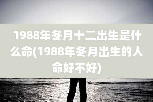 1988年冬月十二出生是什么命(1988年冬月出生的人命好不好)