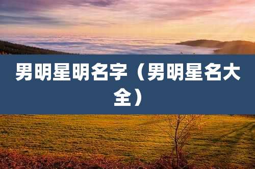 男明星明名字（男明星名大全）