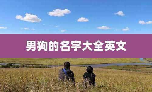 男狗的名字大全英文