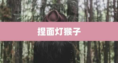 捏面灯猴子