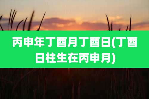 丙申年丁酉月丁酉日(丁酉日柱生在丙申月)