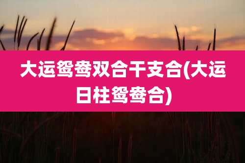 大运鸳鸯双合干支合(大运日柱鸳鸯合)