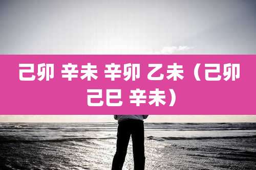 己卯 辛未 辛卯 乙未（己卯 己巳 辛未）