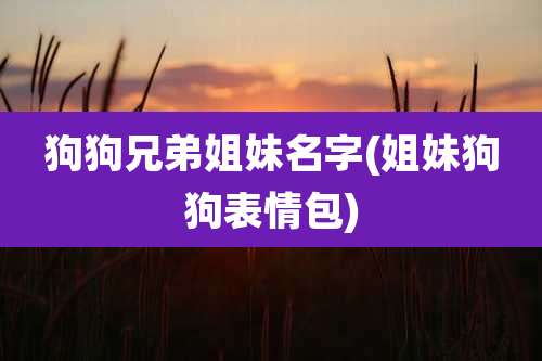 狗狗兄弟姐妹名字(姐妹狗狗表情包)
