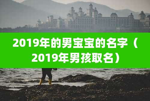 2019年的男宝宝的名字（2019年男孩取名）