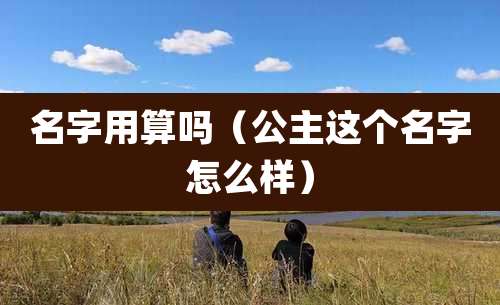名字用算吗(公主这个名字怎么样)