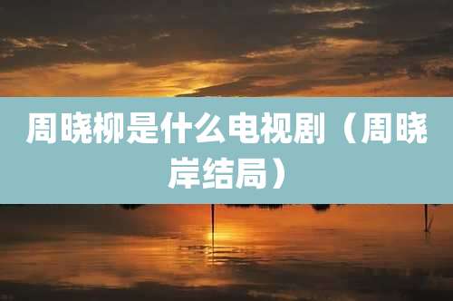 周晓柳是什么电视剧（周晓岸结局）