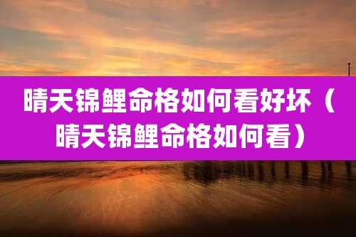 晴天锦鲤命格如何看好坏（晴天锦鲤命格如何看）