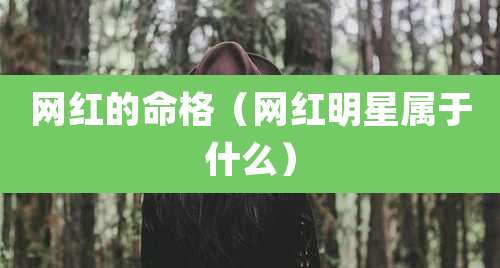 网红的命格(网红明星属于什么)