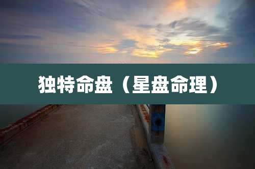 独特命盘（星盘命理）