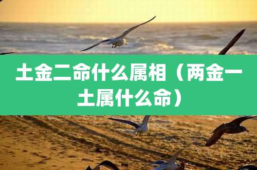 土金二命什么属相（两金一土属什么命）