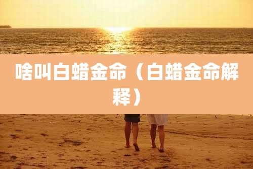啥叫白蜡金命（白蜡金命解释）