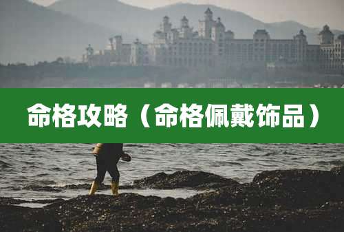 命格攻略（命格佩戴饰品）