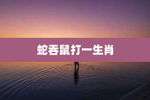蛇吞鼠打一生肖