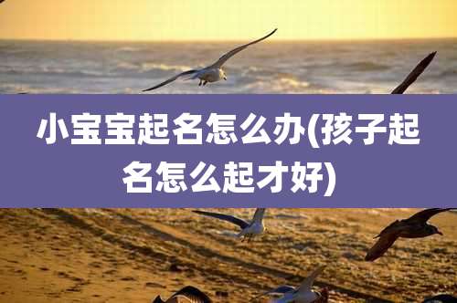 小宝宝起名怎么办(孩子起名怎么起才好)