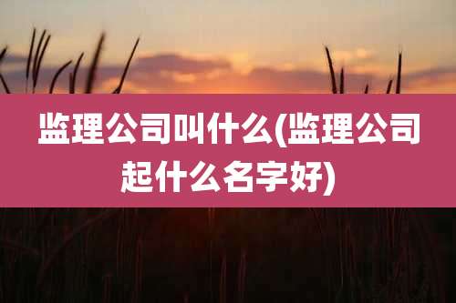 监理公司叫什么(监理公司起什么名字好)