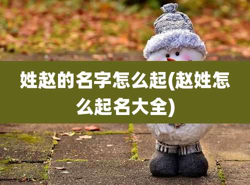 姓赵的名字怎么起(赵姓怎么起名大全)