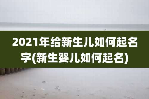 2021年给新生儿如何起名字(新生婴儿如何起名)