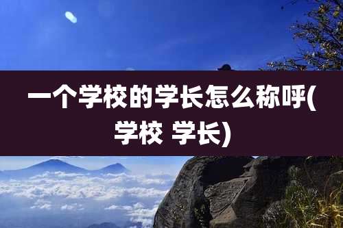 一个学校的学长怎么称呼(学校 学长)