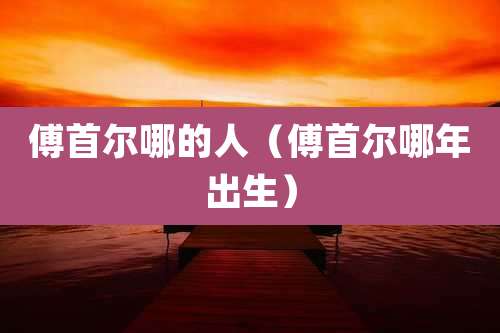 傅首尔哪的人（傅首尔哪年出生）