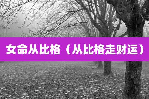 女命从比格(从比格走财运)