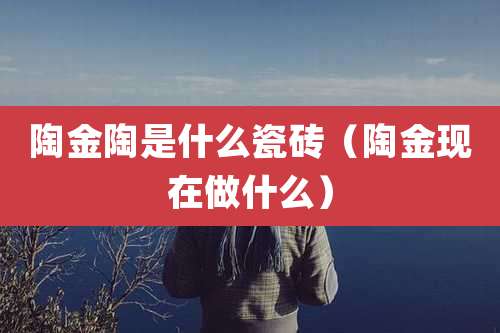 陶金陶是什么瓷砖（陶金现在做什么）